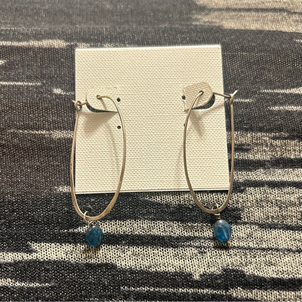 Blue Dangle Earrings
